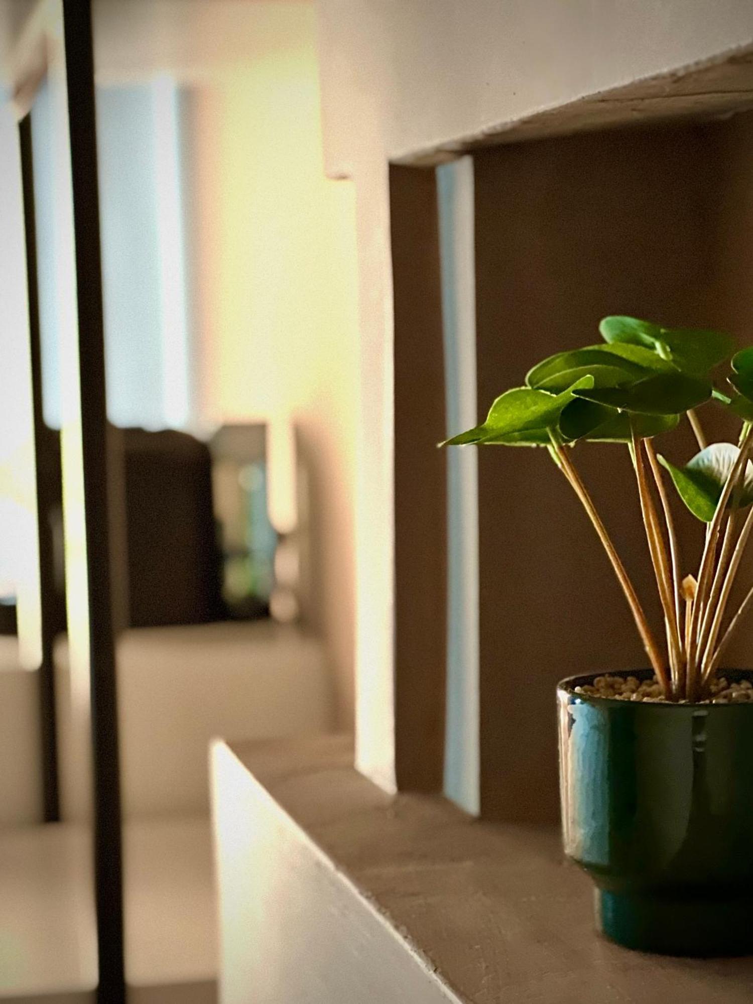 Rex Hotel Boutique Τίρανα Εξωτερικό φωτογραφία